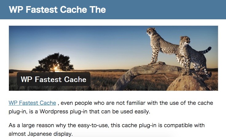 neolog-how_to_use_wordpress_cache_plug-in_is_easy_to_handle_for_beginners__wp_fastest_cache_