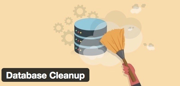 Database Cleanup – Speed Up Database