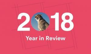 A Look Back at 2018