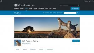 WPastra.com (04.03.2020)