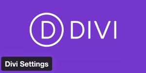 Divi Theme Settings