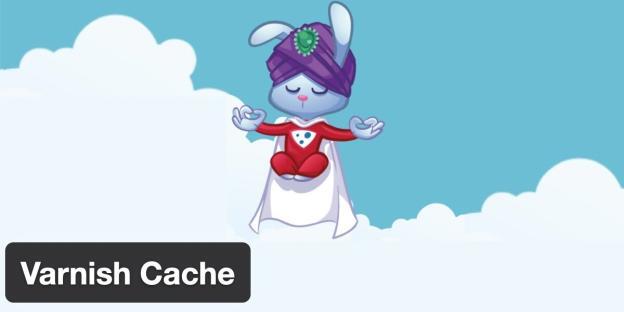 Using Varnish Cache with WP Fastest Cache
