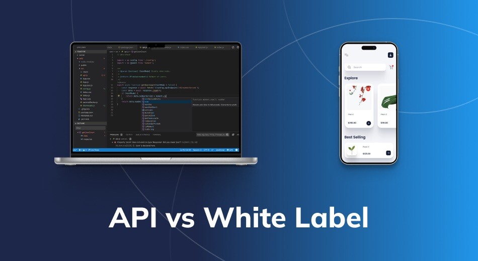 API vs White Label In Digital Marketing