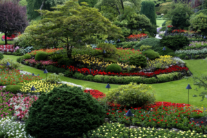 How a Strong Online Presence Helps Yard Care Companies Grow Faster