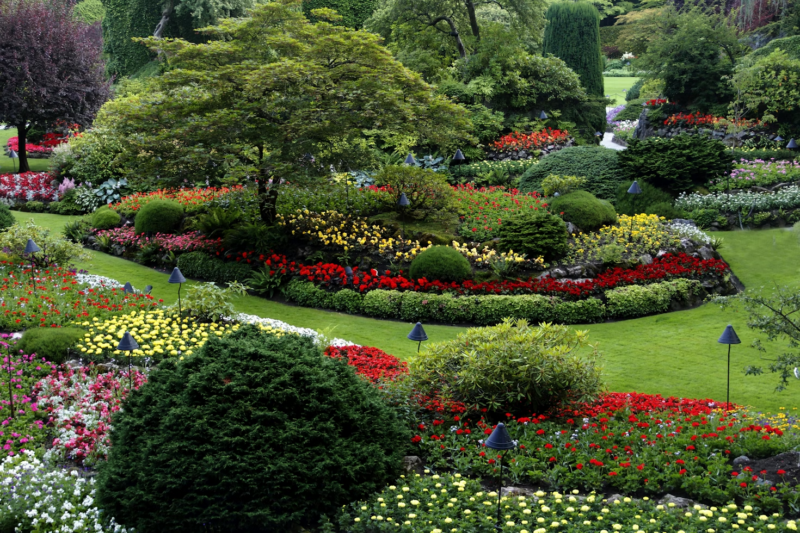 How a Strong Online Presence Helps Yard Care Companies Grow Faster