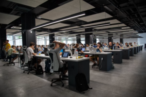 Why Businesses Need Both Management Consulting and a Professional Website